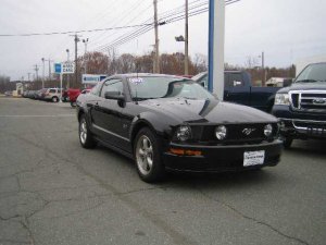 Mustang 014.jpg