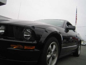 Mustang 010.jpg