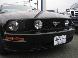 Mustang 012.jpg